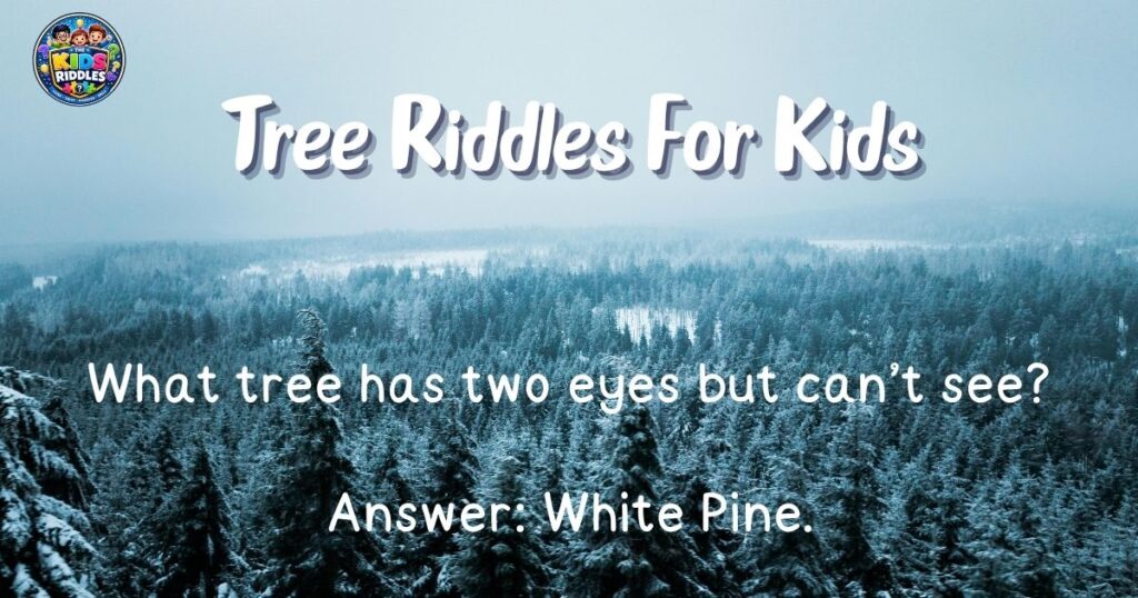 Tree Riddles For Kids