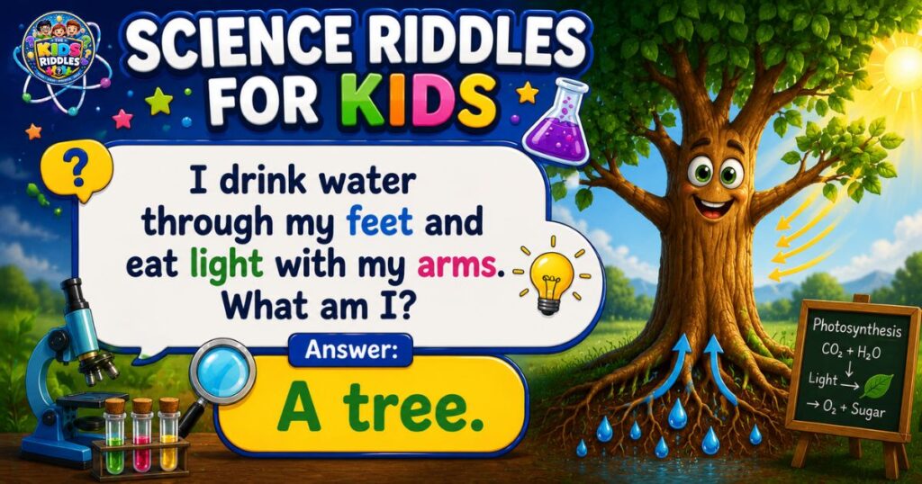 Science riddles for kids
