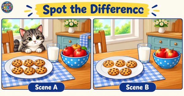 Picture Riddles With Answer 3