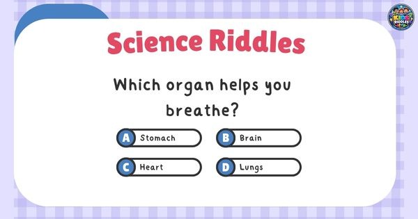 Science Picture Riddles For Kids